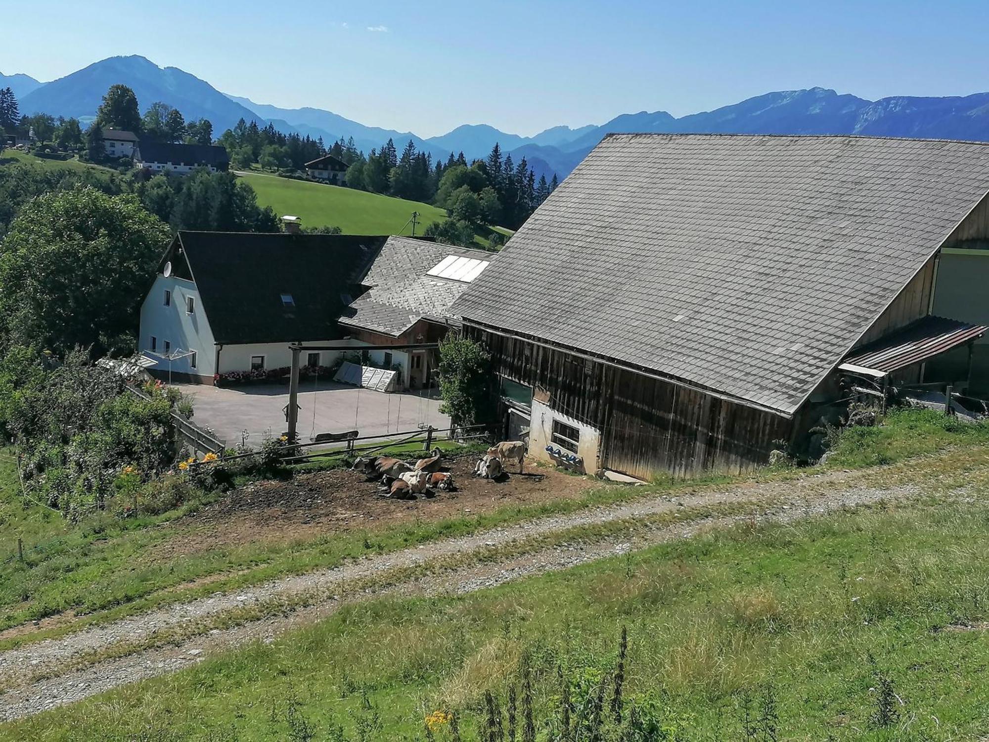 Familienbauernhof Imitz, Ferienwohnung 皮恩山口附近施皮塔尔 外观 照片